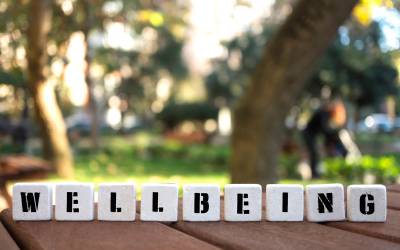 Cubi con la scritta wellbeing, sullo sfondo un parco
