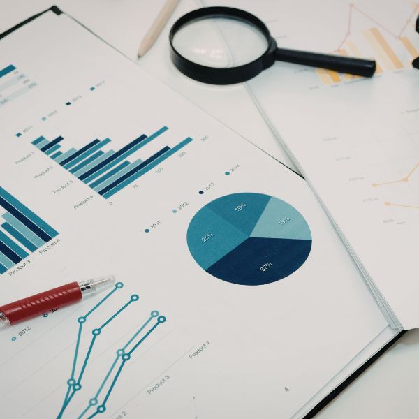 L'immagine mostra un grafico tipico usato nelle analisi di clima